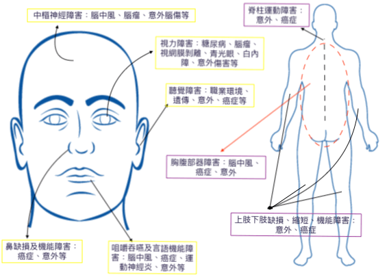 medical-body-drawing-54